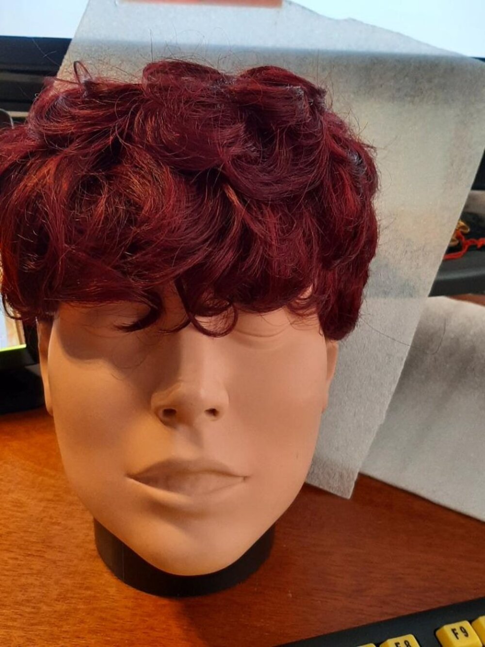 NEW ! Women & Men Short Curly Wig Dark Blonde
